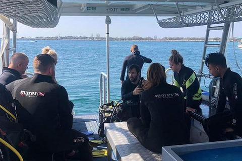 Guided Snorkel With Fish Tour At Wavebreak Island, Gold Coast - Find Attractions 7