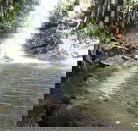 The Gold ExperiencePrivate Day Tour In Lamington National Park or Mt Tambourine - Find Attractions