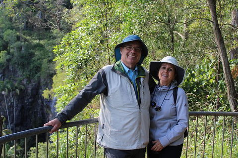 The Gold Experience:Private Day Tour In Lamington National Park Or Mt Tambourine - Find Attractions 1