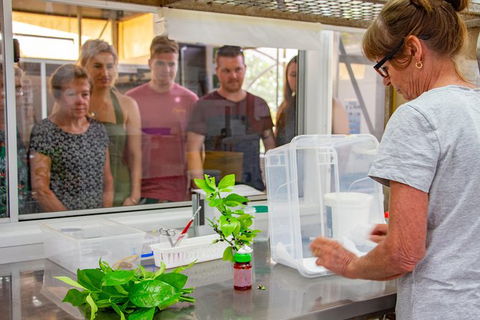 Australian Butterfly Sanctuary - Find Attractions 6