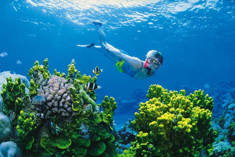 Full Day Snorkel In The Great Barrier Reef - Find Attractions 0