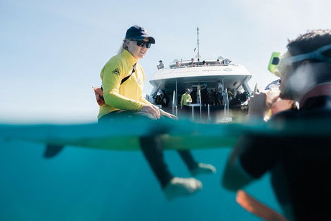 Full Day Snorkel In The Great Barrier Reef - Find Attractions 7