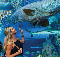 Cairns Aquarium Family Tickets - Find Attractions