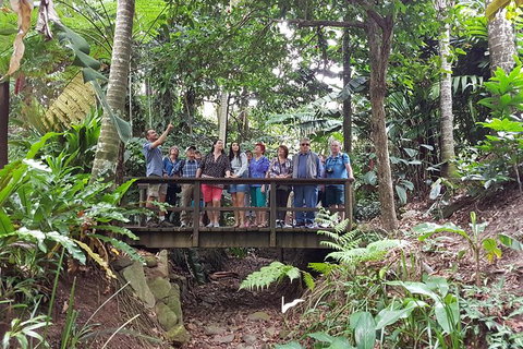 Cairns Shore Excursion: Cairns City Sights & Surrounds Tour - Find Attractions 3