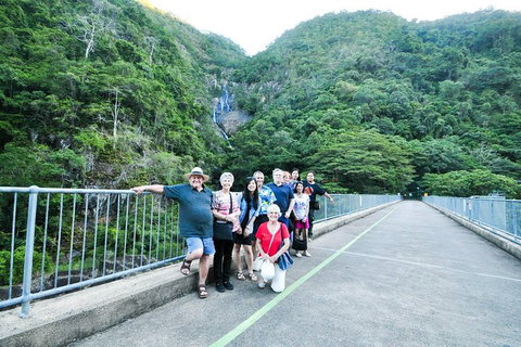 Cairns Shore Excursion: Cairns City Sights & Surrounds Tour - Find Attractions 10