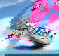 Gold Coast Tandem Parasail  V8 Jetboat Combo - 1 Location - Find Attractions