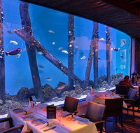 Cairns Aquarium and small group City Sightseeing Tour - Find Attractions