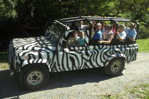 Morning Half Day Tour - Find Attractions 1