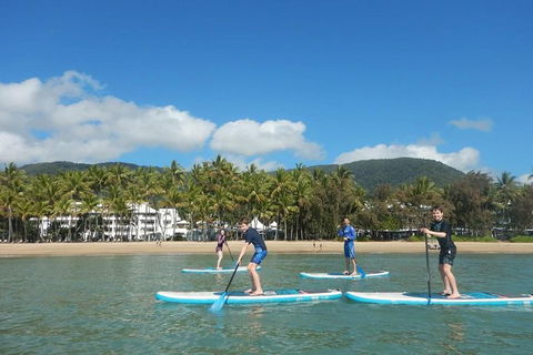 Sunrise Paddleboarding Group Lesson At Palm Cove Beach - Find Attractions 3