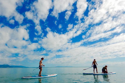 Sunrise Paddleboarding Group Lesson At Palm Cove Beach - Find Attractions 1