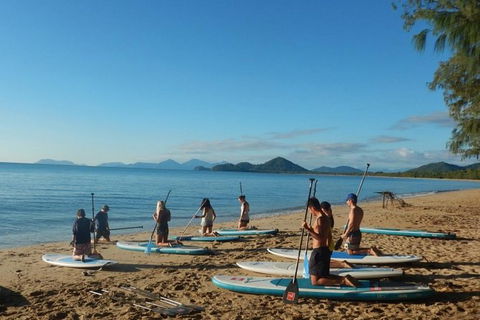 Sunrise Paddleboarding Group Lesson At Palm Cove Beach - Find Attractions 8
