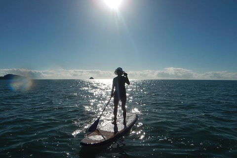 Sunrise Paddleboarding Group Lesson At Palm Cove Beach - Find Attractions 5