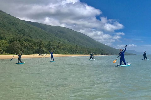 Sunrise Paddleboarding Group Lesson At Palm Cove Beach - Find Attractions 14