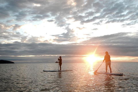 Sunrise Paddleboarding Group Lesson At Palm Cove Beach - Find Attractions 0