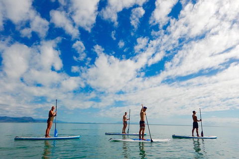 Sunrise Paddleboarding Group Lesson At Palm Cove Beach - Find Attractions 18