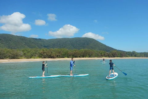 Sunrise Paddleboarding Group Lesson At Palm Cove Beach - Find Attractions 16