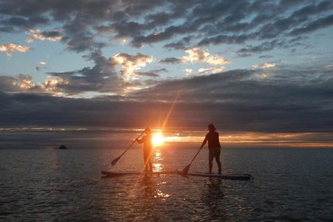 Sunrise Paddleboarding Group Lesson At Palm Cove Beach - Find Attractions 10