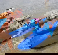 Kids Only Surf Lessons at Surfers Paradise Beach - Find Attractions