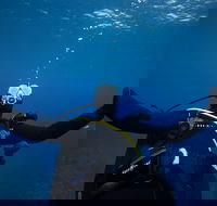 3- Day Advanced Open Water Diver Course on the Gold Coast - Find Attractions