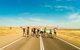 11-day Cairns To Darwin Tour - thumb 0