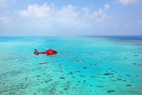 Port Douglas - Cruise And 10 Minute Scenic Flight - Find Attractions 0