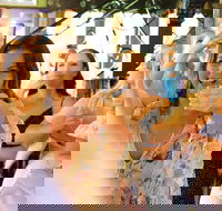 Beer Wine  Spirits - Find Attractions