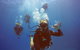 12-Day Great Barrier Reef Marine Conservation Program From Cairns - thumb 1