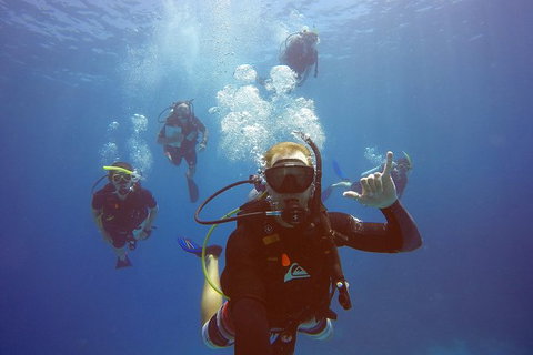 12-Day Great Barrier Reef Marine Conservation Program From Cairns - Find Attractions 1