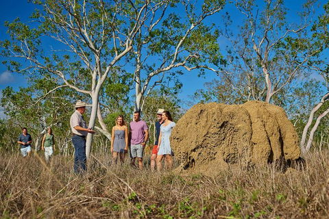 3 Day Cape Tribulation & Cooktown Tour From Cairns Or Port Douglas - Find Attractions 14