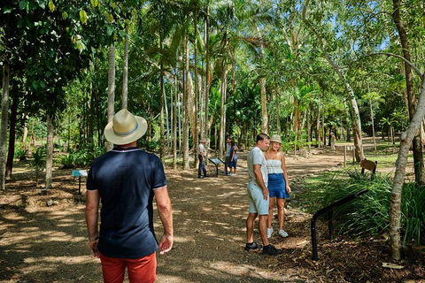 3 Day Cape Tribulation & Cooktown Tour From Cairns Or Port Douglas - Find Attractions 13