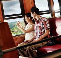 Kuranda Day Tour TKS- Budget 830 - Find Attractions