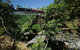 Kuranda Day Tour, TKS- Budget 830 - thumb 4