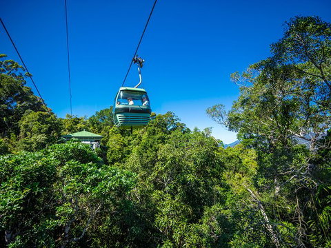 Kuranda Day Tour, TKS- Budget 830 - Find Attractions 3