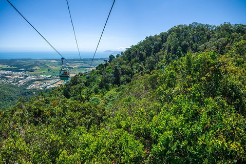 Kuranda Day Tour, TKS- Budget 830 - Find Attractions 1