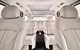 Luxury Van, Private Transfer, Cairns Airport - Palm Cove. - thumb 2