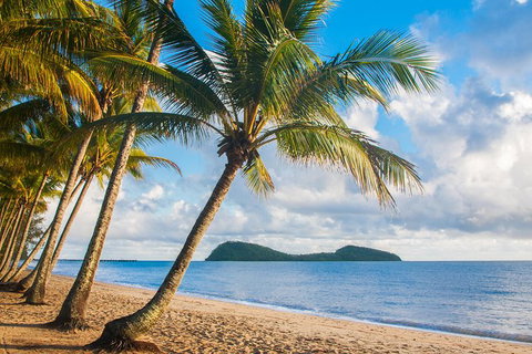 Luxury Van, Private Transfer, Cairns Airport - Palm Cove. - Find Attractions 1