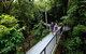 4-Day Cairns Ultimate Combo: Daintree Rainforest, Reef, Kuranda & Paronella Park - thumb 11
