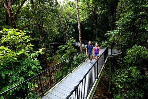 4-Day Cairns Ultimate Combo: Daintree Rainforest, Reef, Kuranda & Paronella Park - Find Attractions 11