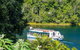 4-Day Cairns Ultimate Combo: Daintree Rainforest, Reef, Kuranda & Paronella Park - thumb 1