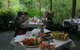 4-Day Cairns Ultimate Combo: Daintree Rainforest, Reef, Kuranda & Paronella Park - thumb 3