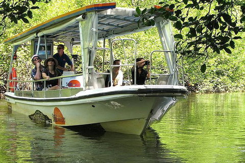 4-Day Cairns Ultimate Combo: Daintree Rainforest, Reef, Kuranda & Paronella Park - Find Attractions 12