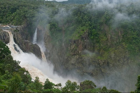 4-Day Cairns Ultimate Combo: Daintree Rainforest, Reef, Kuranda & Paronella Park - Find Attractions 5