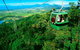 4-Day Cairns Ultimate Combo: Daintree Rainforest, Reef, Kuranda & Paronella Park - thumb 9