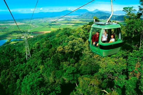4-Day Cairns Ultimate Combo: Daintree Rainforest, Reef, Kuranda & Paronella Park - Find Attractions 9