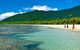 4-Day Cairns Ultimate Combo: Daintree Rainforest, Reef, Kuranda & Paronella Park - thumb 8
