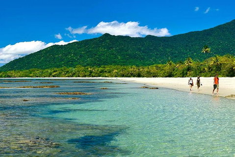 4-Day Cairns Ultimate Combo: Daintree Rainforest, Reef, Kuranda & Paronella Park - Find Attractions 8