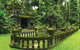 4-Day Cairns Ultimate Combo: Daintree Rainforest, Reef, Kuranda & Paronella Park - thumb 10