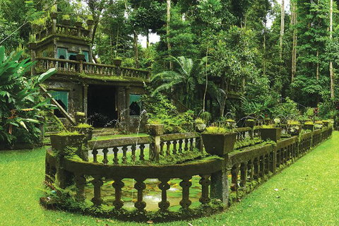 4-Day Cairns Ultimate Combo: Daintree Rainforest, Reef, Kuranda & Paronella Park - Find Attractions 10
