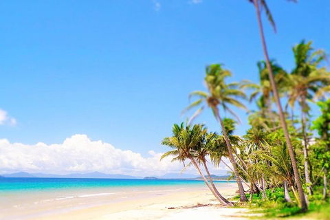 Airport Transfer - Mission Beach To Cairns Airport - Find Attractions 3