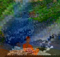 Private Tour - Rainforest  Waterfalls Extravaganza